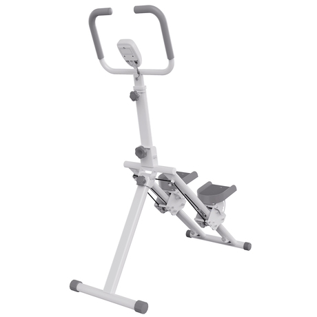 Stepper Rower CITYSPORTS Indoor Fitness – Steppers, Rowing Machines, Exercise Bikes ...