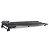 CITYSPORTS Portable Walking Pad – Foldable Home & Office Treadmill with LED, Remote & Quiet Motor